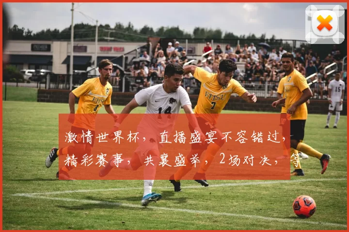 激情世界杯，直播盛宴不容错过，精彩赛事，共襄盛举，2场对决，等你来观战
